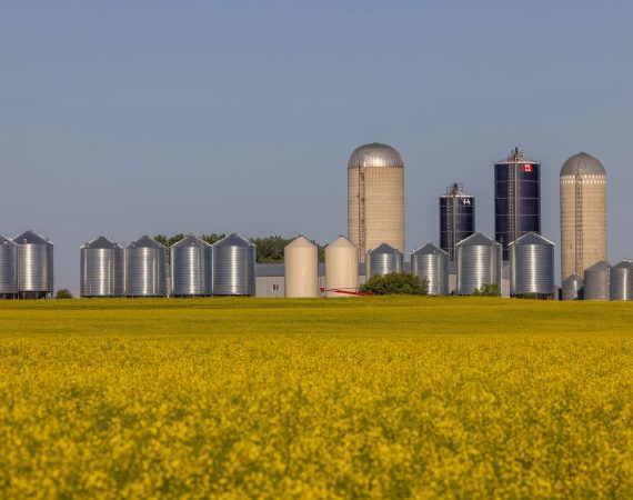agricultural leasing grain storage farm loan ag lease